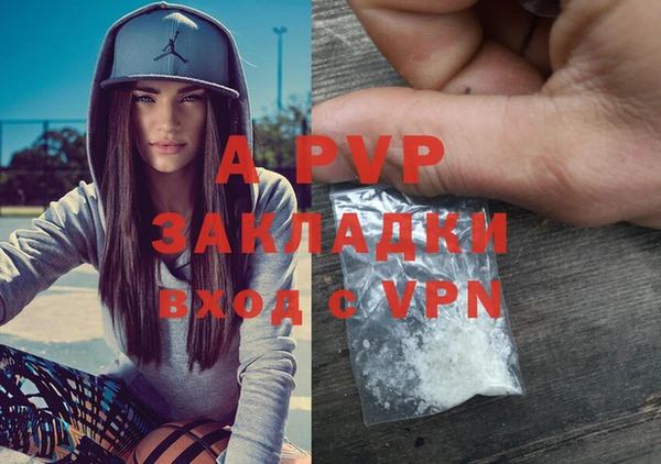 прущие грибы Нефтекумск