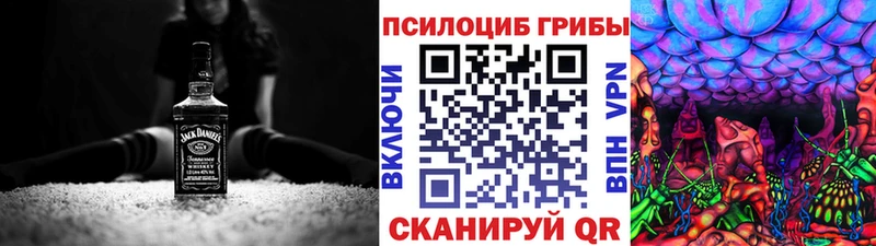 купить наркоту  Кедровый  MEGA вход  Псилоцибиновые грибы Magic Shrooms 